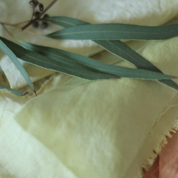 Dandelion natural dye silk